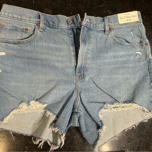 Abercrombie & Fitch Blue Jean Shorts Distressed Raw Hem